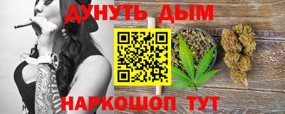 гидра Заводоуковск