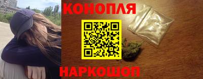 гидра Заводоуковск