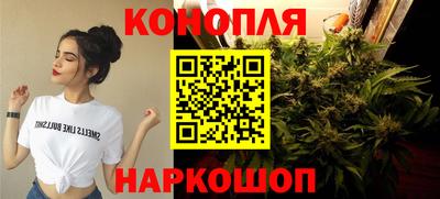 гидра Заводоуковск