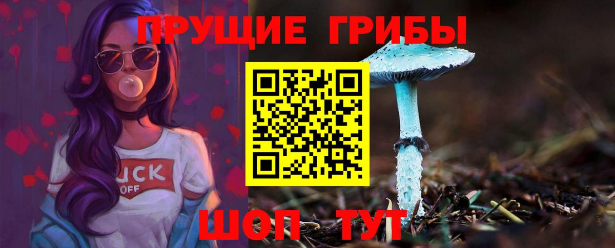 Качканар  Галлюциногенные грибы мицелий  Вход с VPN 